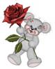 CREDDY BEAR WITH A ROSE