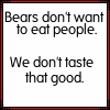bears don't eat people