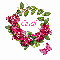 Beautiful Pink Flowers - Cindi