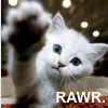 Rawr kitty
