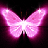 cute pink butterfly