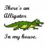 Alligator in My House