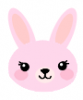 little pink bunny