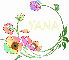 Yana Flowers (Changing Colors)