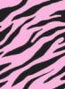 Pink zebra print