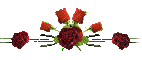 rosas  