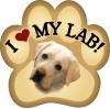 love my labs