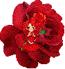 Red Rose Doll