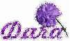 Dara Purple Flower