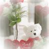 Teddy Bear Love - background - vday