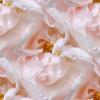 Pink Beaded Flowers - background