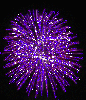 Purple Fireworks