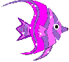 Pink Glitter Fish - Background
