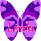 background Purple Butterfly - Linda