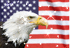 Background - American Flag with Eagle