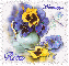 Blessings - Purple and yellow pansies - Rita