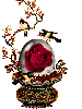 Glass of rose