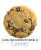 need a cookie