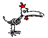 funny bird skeleton