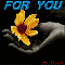 Flower - - - For You 