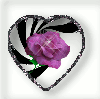 Rose in Heart
