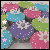 rainbowflowercupcakes