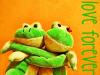 little_frogs_hug