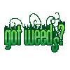 Got Weeds?