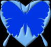 butterfly Heart