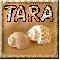 Tara shells