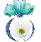Flower in Bubble