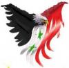 syrian eagle