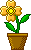 flower6