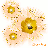 Golden flowers