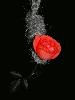 rose in a rope
