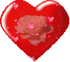 Background - Red Heart with Pink Rose