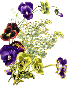 Cveće i leptiri - Page 3 2876852yqph1zp52g