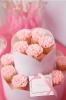 Pink Cupcakes <3