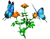 Background - Flutter Blue Butterflies