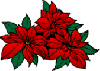 Background - Red Christmas Flowers