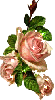 Background - Pink Sparkle Roses