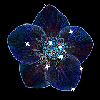 Background - Blue Sparkle Flower