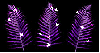 Background - Purple Sparkle Ferns