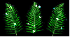 Background - Green Sparkle Ferns