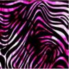 Background - Pink Zebra
