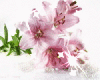 Background - Pink Sparkle Lilys