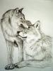 wolf drawed by ME