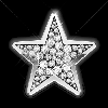 tiny silver star