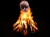 Bieber Burning 2