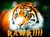 RAWR THE TIGER
